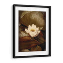 Lily Pad Solo - Rachel Perry | Cuadro decorativo de Canvas Lab