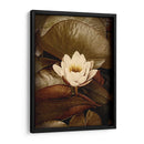 Lily Pad Solo - Rachel Perry | Cuadro decorativo de Canvas Lab