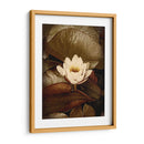 Lily Pad Solo - Rachel Perry | Cuadro decorativo de Canvas Lab