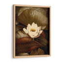 Lily Pad Solo - Rachel Perry | Cuadro decorativo de Canvas Lab