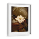 Lily Pad Solo - Rachel Perry | Cuadro decorativo de Canvas Lab