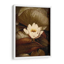 Lily Pad Solo - Rachel Perry | Cuadro decorativo de Canvas Lab