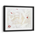 Lino Blanco Peonía I - Rachel Perry | Cuadro decorativo de Canvas Lab