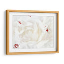 Lino Blanco Peonía I - Rachel Perry | Cuadro decorativo de Canvas Lab