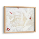 Lino Blanco Peonía I - Rachel Perry | Cuadro decorativo de Canvas Lab