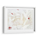 Lino Blanco Peonía I - Rachel Perry | Cuadro decorativo de Canvas Lab