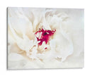Lino Blanco Peony Ii - Rachel Perry | Cuadro decorativo de Canvas Lab