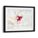 Lino Blanco Peony Ii - Rachel Perry | Cuadro decorativo de Canvas Lab