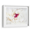 Lino Blanco Peony Ii - Rachel Perry | Cuadro decorativo de Canvas Lab