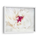 Lino Blanco Peony Ii - Rachel Perry | Cuadro decorativo de Canvas Lab
