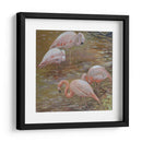 Pasión Rosa - Chuck Larivey | Cuadro decorativo de Canvas Lab