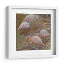 Pasión Rosa - Chuck Larivey | Cuadro decorativo de Canvas Lab