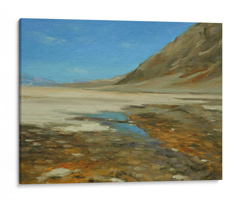 Badwater Cuenca, Valle De La Muerte - Chuck Larivey | Cuadro decorativo de Canvas Lab