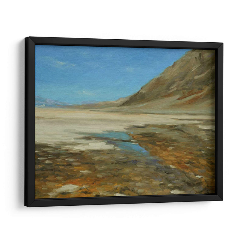 Badwater Cuenca, Valle De La Muerte - Chuck Larivey | Cuadro decorativo de Canvas Lab