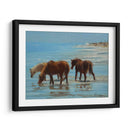 Chincoteague Ponies - Chuck Larivey | Cuadro decorativo de Canvas Lab
