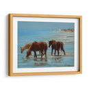 Chincoteague Ponies - Chuck Larivey | Cuadro decorativo de Canvas Lab