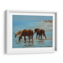 Chincoteague Ponies - Chuck Larivey | Cuadro decorativo de Canvas Lab