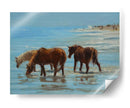 Chincoteague Ponies - Chuck Larivey | Cuadro decorativo de Canvas Lab