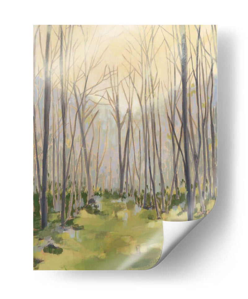 Bosque Delicado Ii - Megan Meagher | Cuadro decorativo de Canvas Lab