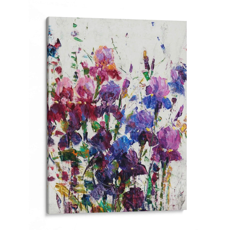 Iris Blooming I - Tim OToole | Cuadro decorativo de Canvas Lab