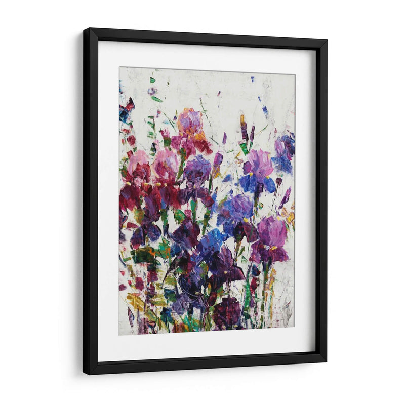 Iris Blooming I - Tim OToole | Cuadro decorativo de Canvas Lab