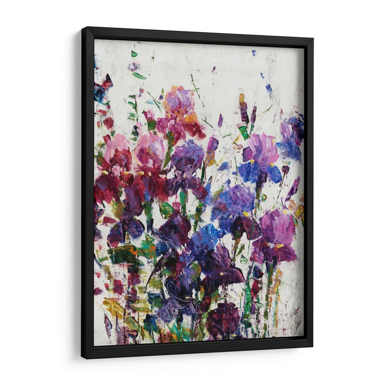 Iris Blooming I - Tim OToole | Cuadro decorativo de Canvas Lab