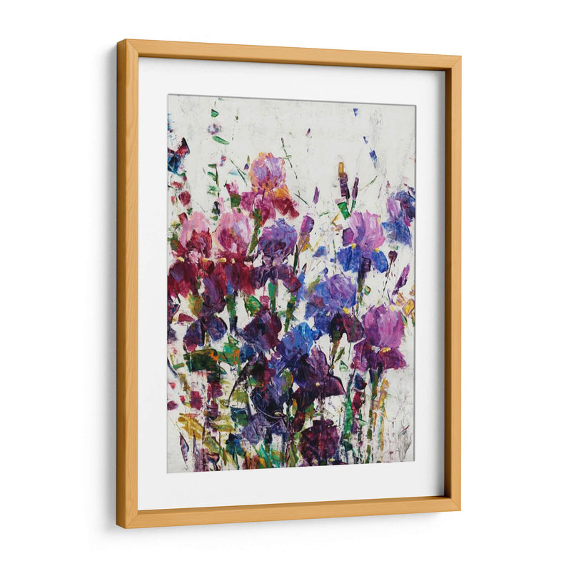 Iris Blooming I - Tim OToole | Cuadro decorativo de Canvas Lab