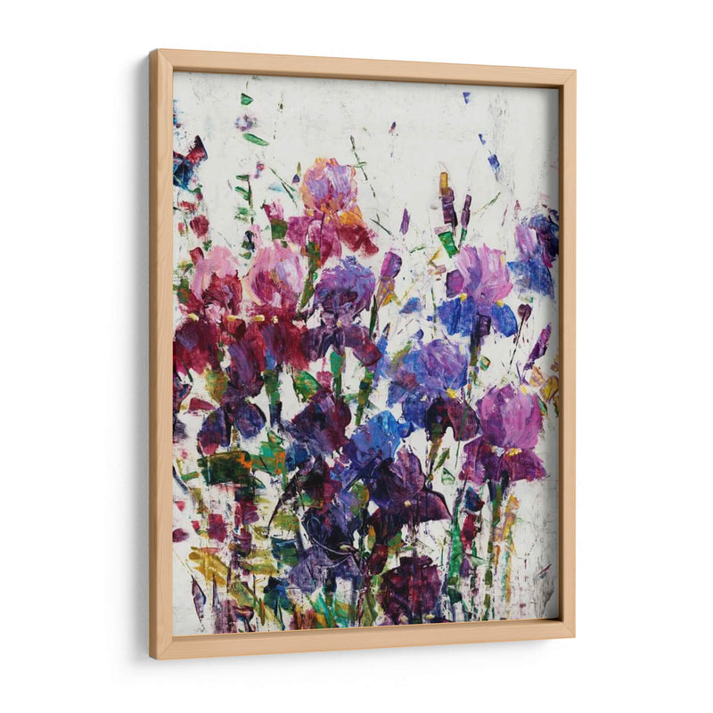 Iris Blooming I - Tim OToole | Cuadro decorativo de Canvas Lab