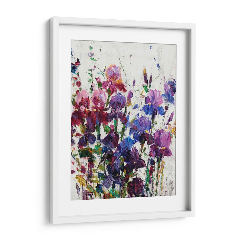 Iris Blooming I - Tim OToole | Cuadro decorativo de Canvas Lab