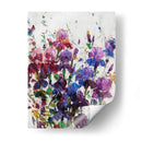 Iris Blooming I - Tim OToole | Cuadro decorativo de Canvas Lab