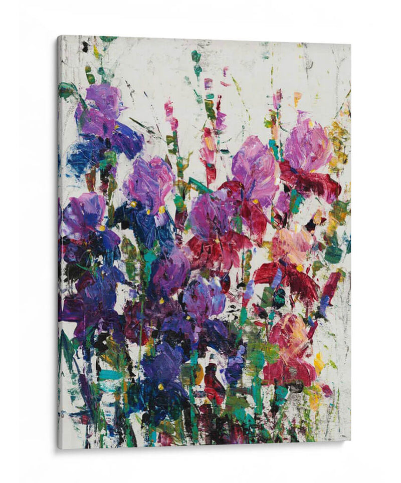 Iris Blooming Ii - Tim OToole | Cuadro decorativo de Canvas Lab