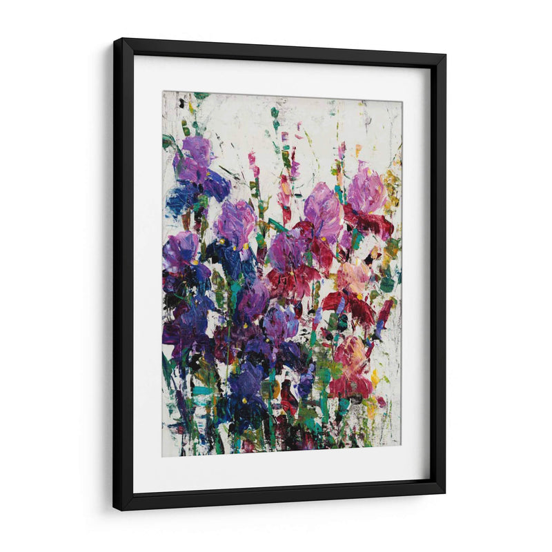 Iris Blooming Ii - Tim OToole | Cuadro decorativo de Canvas Lab