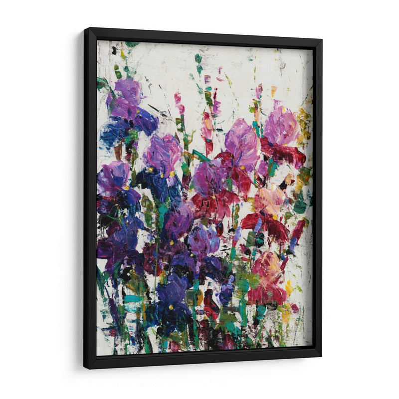 Iris Blooming Ii - Tim OToole | Cuadro decorativo de Canvas Lab