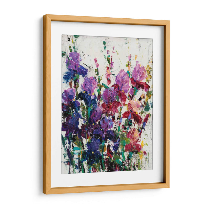 Iris Blooming Ii - Tim OToole | Cuadro decorativo de Canvas Lab