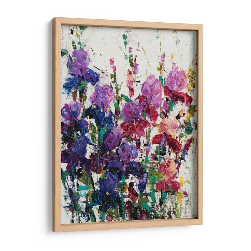 Iris Blooming Ii - Tim OToole | Cuadro decorativo de Canvas Lab