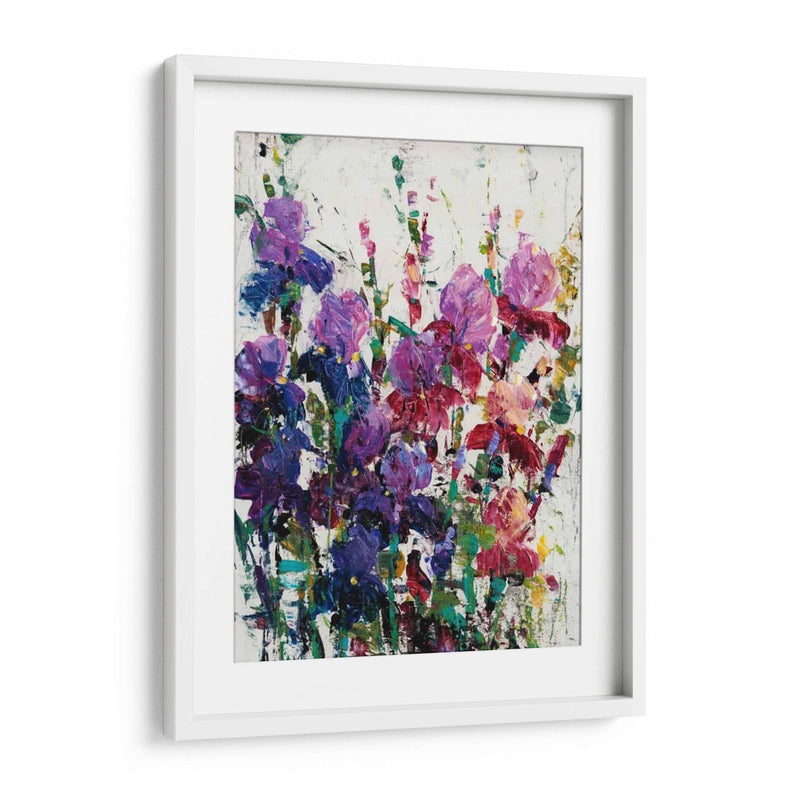 Iris Blooming Ii - Tim OToole | Cuadro decorativo de Canvas Lab