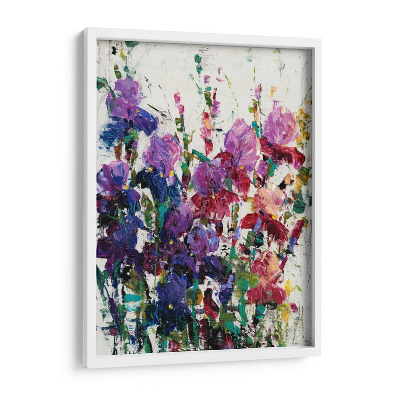 Iris Blooming Ii - Tim OToole | Cuadro decorativo de Canvas Lab