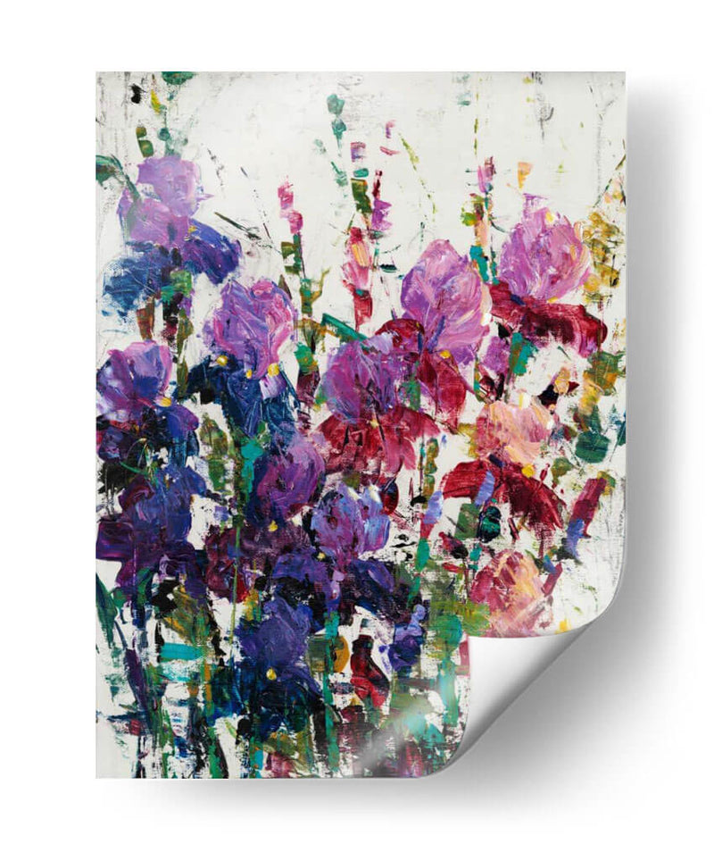 Iris Blooming Ii - Tim OToole | Cuadro decorativo de Canvas Lab