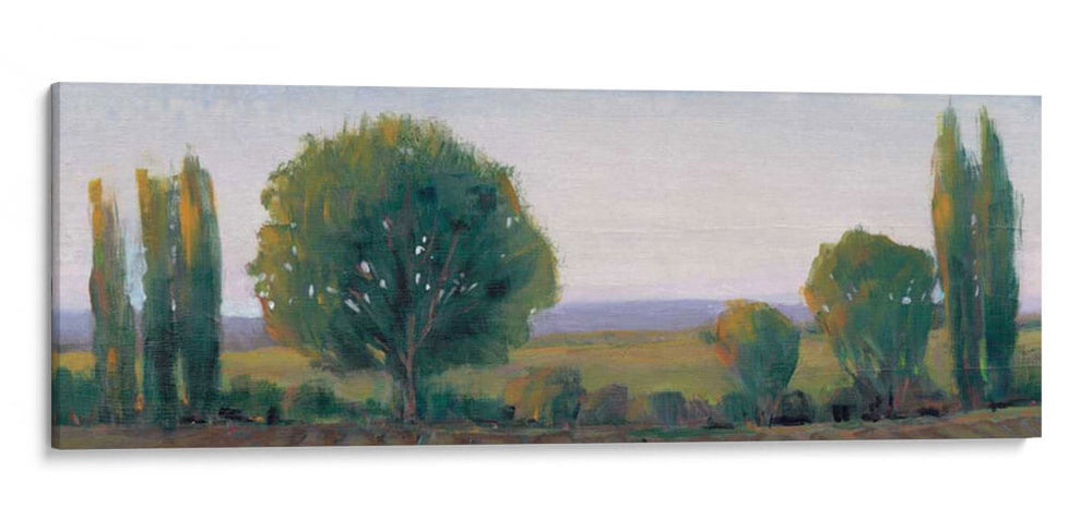Treelina Panorámica I - Tim OToole | Cuadro decorativo de Canvas Lab