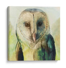 Harlequin Hibou I - Grace Popp | Cuadro decorativo de Canvas Lab