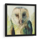 Harlequin Hibou I - Grace Popp | Cuadro decorativo de Canvas Lab