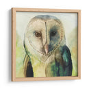 Harlequin Hibou I - Grace Popp | Cuadro decorativo de Canvas Lab