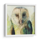 Harlequin Hibou I - Grace Popp | Cuadro decorativo de Canvas Lab