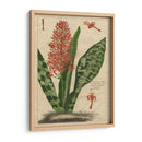 Estudio Botánico En Lino I - Vision Studio | Cuadro decorativo de Canvas Lab