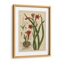 Estudio Botánico En Lino Ii - Vision Studio | Cuadro decorativo de Canvas Lab