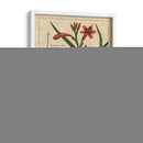 Estudio Botánico En Lino Ii - Vision Studio | Cuadro decorativo de Canvas Lab