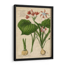 Estudio Botánico En Lino V - Vision Studio | Cuadro decorativo de Canvas Lab