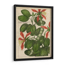 Estudio Botánico En Lino Vi - Vision Studio | Cuadro decorativo de Canvas Lab