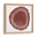 Anillo De Árbol I - Vision Studio | Cuadro decorativo de Canvas Lab