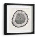 Anillo De Árbol Ii - Vision Studio | Cuadro decorativo de Canvas Lab